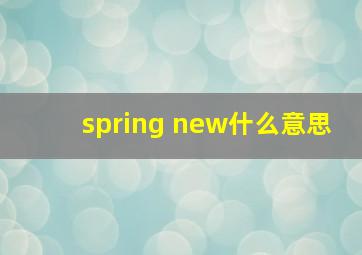 spring new什么意思